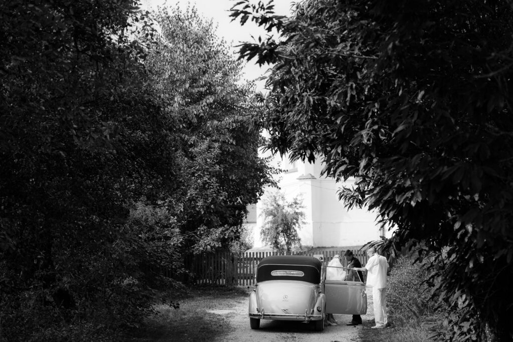 Vintage car bent over by trees and bushes